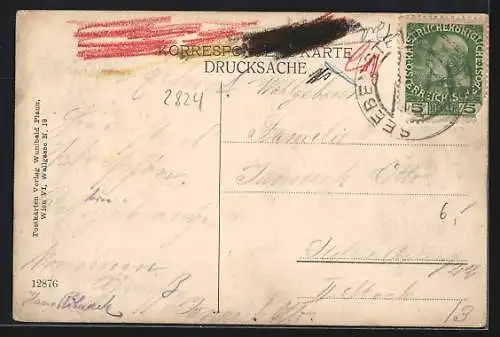 AK Seebenstein /N.-Ö., Ortspanorama mit Turm und Mauer