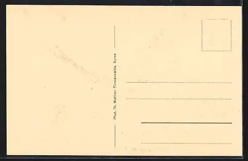 AK Segelregatta auf dem Scharmützelsee, Segelsport