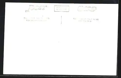 AK The Irish Mail Express, englische Eisenbahn