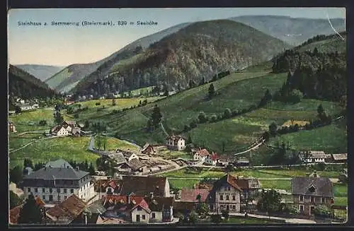 AK Steinhaus am Semmering, Ortsansicht