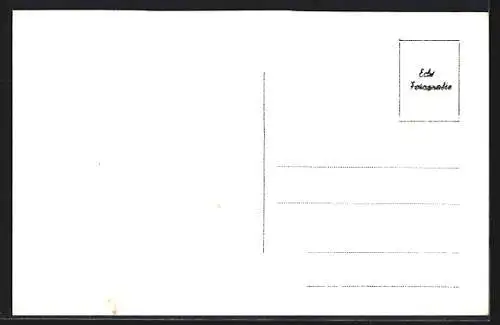 AK Heidenreichstein a. Niederdonau, Ortsansicht