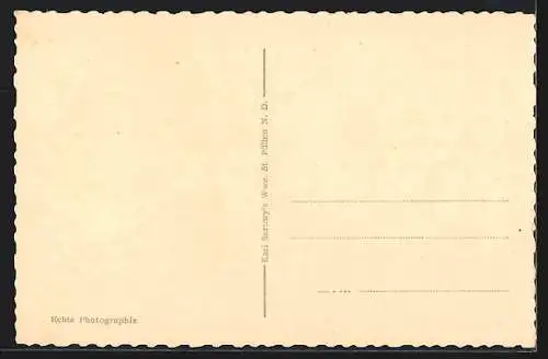 AK St. Pölten, Wasserburg, Blick auf den Ort umgeben von Bäumen