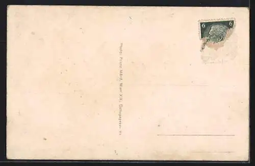 AK Mistelbach, Das Bezirkskrankenhaus mit Villenviertel