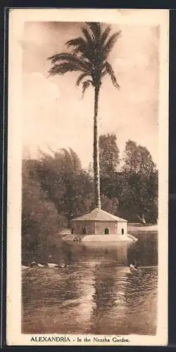 Mini-AK Alexandria, In the Nouzha Garden