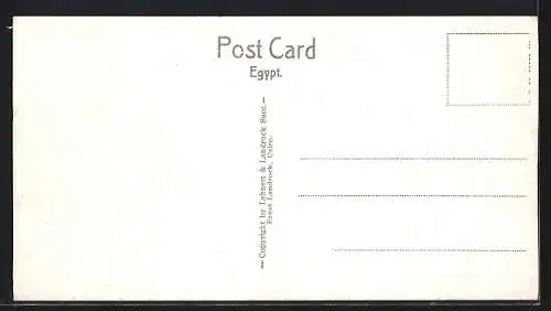 Mini-AK Cairo, General View