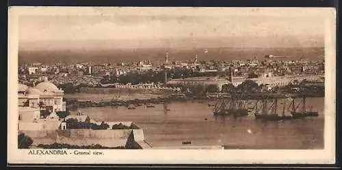 Mini-AK Alexandria, General view