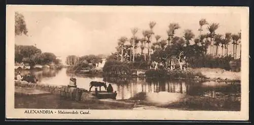 Mini-AK Alexandria, Mahmoudieh Canal