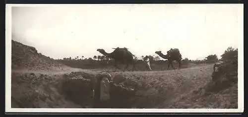 Mini-AK Egypt, Camelroad