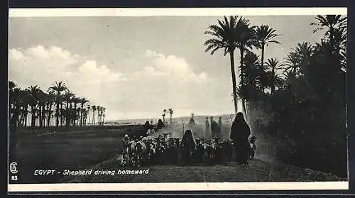 Mini-AK Egypt, Shepherd driving homeward