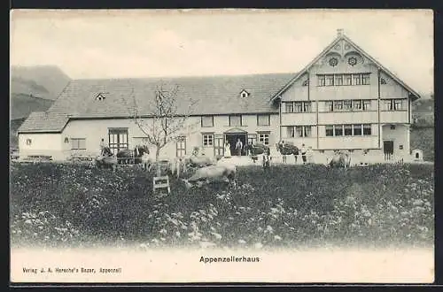 AK Appenzell, Appenzellerhaus mit Rindern