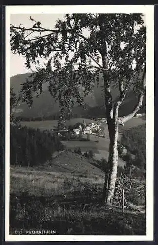 AK Puchenstuben, Teilansicht mit Bäumen