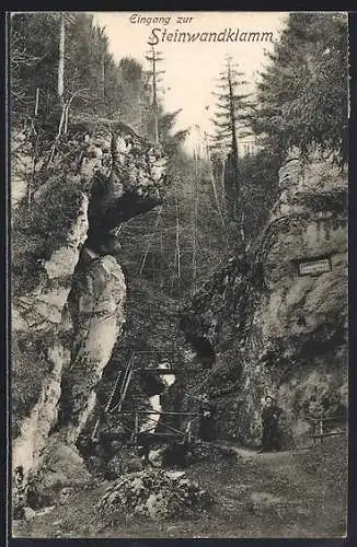 AK Steinwandklamm, Eingang