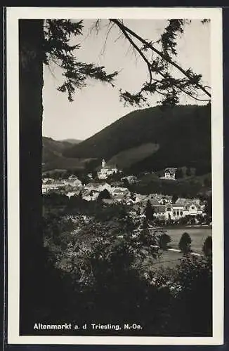 AK Altenmarkt a. d. Triesting, Teilansicht mit Kirche