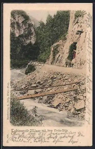AK Mürzsteg, Todtenweib-Mäuer, Ortspartie mit dem Votiv-Bild