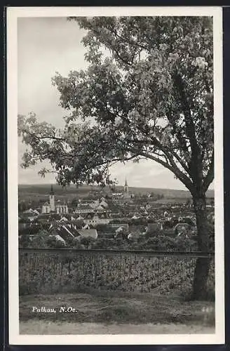 AK Pulkau /N.-Ö., Teilansicht mit Kirche