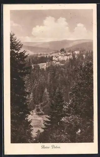 AK Pölla /N.-Oe., Panorama mit Ruine Dobra