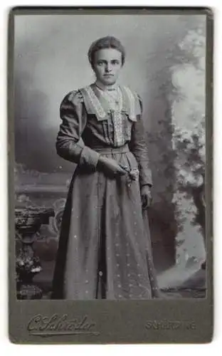 Fotografie C. Schröder, Schärding, Porträt einer Dame in elegantem Kleid