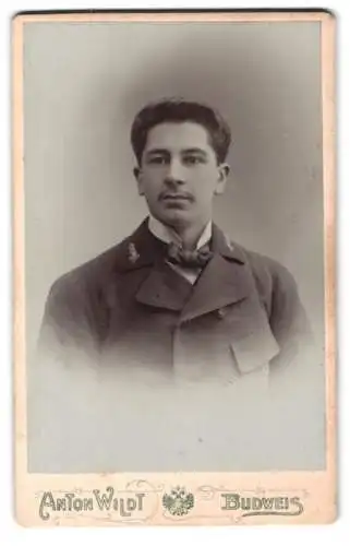 Fotografie Anton Wildt, Budweis, Lobkowitzplatz 6, Porträt eines jungen Mannes 1903