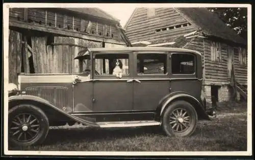 Fotografie Auto Chrysler, niedlicher Hund schaut aus der Limousine heraus
