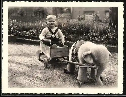 Fotografie Blonder Knabe im Naether Bollerwagen mit Kuscheltier Elephant als Zugtier