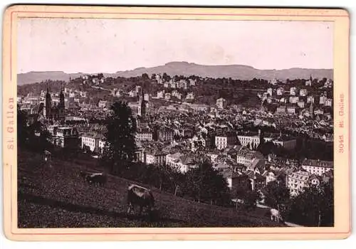 Fotografie Diezel & Langer, Wien, Ansicht St. Gallen, Stadtansicht mit Weideland