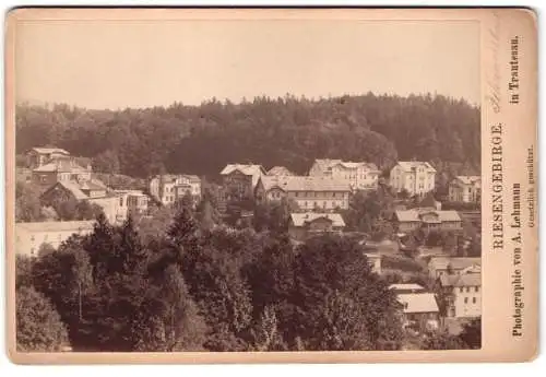 Fotografie A. Lehmann, Trautenau, Ansicht Johannisbad, Blick über die Dächer des Ortes