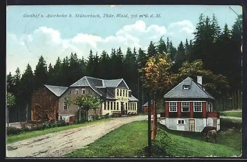 AK Stützerbach, Gasthof Zum Auerhahn