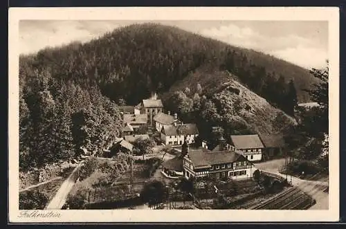 AK Falkenstein / Oberfranken, Ortsansicht