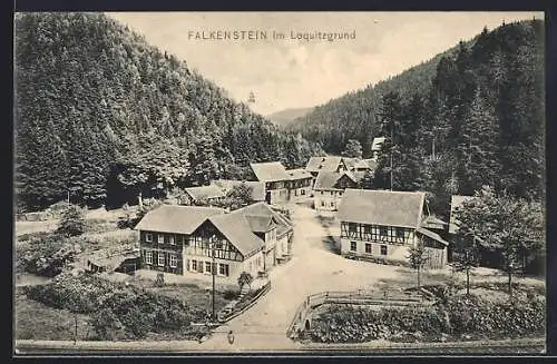 AK Falkenstein / Oberfranken, Ortspartie im Loquitzgrund