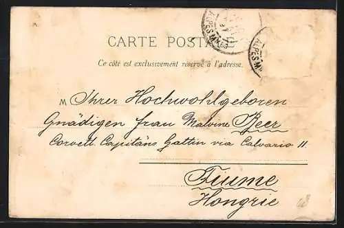 Lithographie Nice, Ortsansicht aus der Vogelschau, Ortspartie mit Uferpromenade