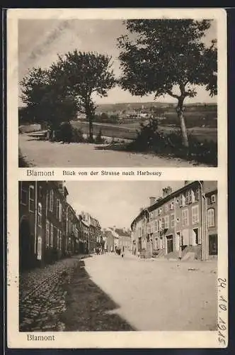 AK Blamont, Strassenpartie, Blick von der Strasse nach Harbouey