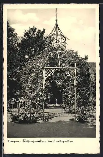 AK Singen / Hegau, Rosenpavillon im Stadtgarten