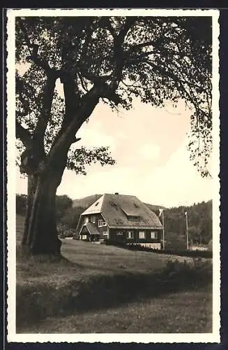 AK Herrenalb im Gaistal, Wanderheim des Schwarzwaldvereins