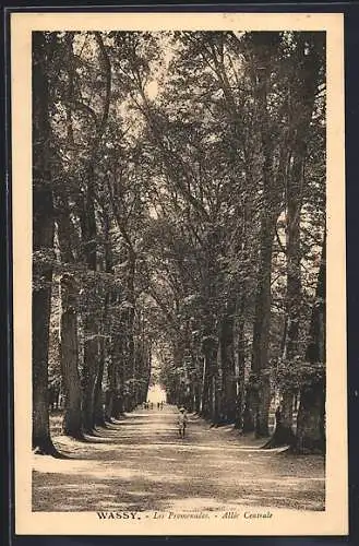 AK Wassy, Les Promenades, Allée Centrale