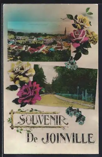 AK Joinville, Souvenir avec vue panoramique et promenade fleurie