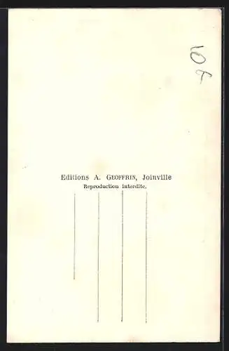 AK Joinville, Souvenir avec vue panoramique et promenade fleurie