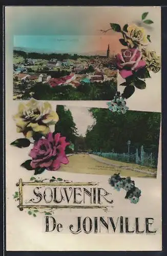 AK Joinville, Souvenir de Joinville avec vue panoramique et allée bordée d`arbres