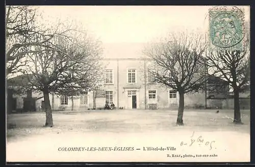 AK Colombey-les-Deux-Églises, L`Hôtel-de-Ville et les arbres en hiver