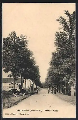 AK Fayl-Billot /Haute-Marne, Route de Vesoul avec arbres et piétons