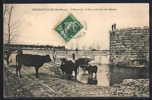 AK Chateauvillain /Hte-Marne, L`Abreuvoir, la Tour et le Pont des Malades