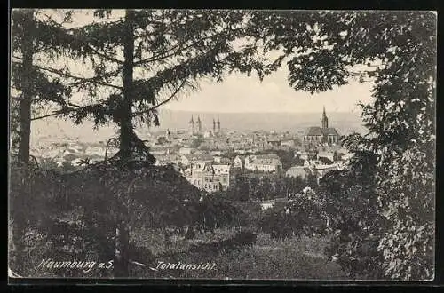 AK Naumburg a. S., Totalansicht mit Kirche