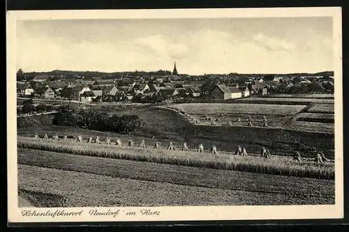 AK Neudorf / Harz, Blick zum Ort
