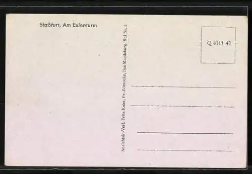 AK Stassfurt, Blick auf Strasse am Eulenturm