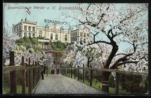AK Werder, Baumblüte am Restaurant Bismarckshöhe
