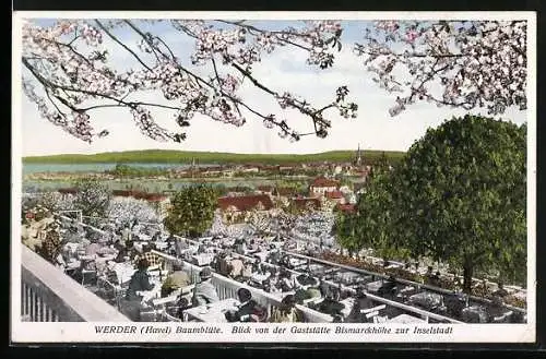AK Werder / Havel, Blick von der Gaststätte Bismarckhöhe zur Innenstadt während der Baumblüte
