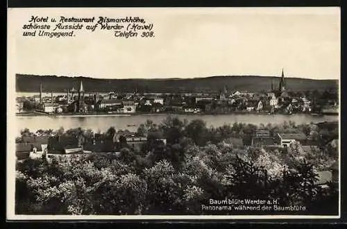 AK Werder / Havel, Panoramablick während der Baumblüte