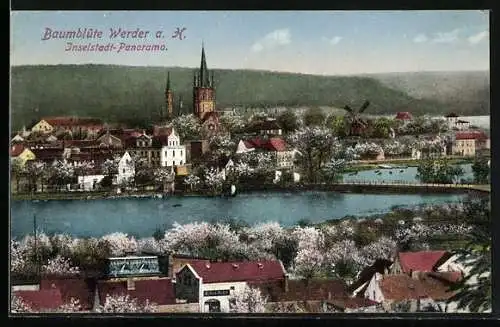 AK Werder / Havel, Inselstadt-Panorama mit Windmühle, Brücke und Kirche