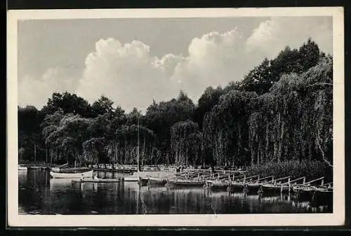 AK Mellensee, Hotel-Restaurant Wildpark, Gartenterrasse mit Flussufer