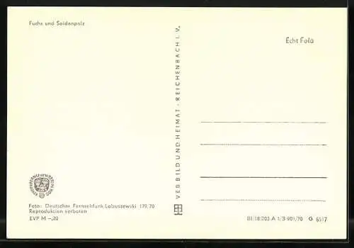 AK Fuchs und Seidenpelz, DDR Fernsehen