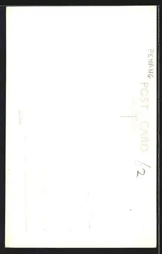 AK Penang, The Pagoda-Ayer Itam Temple